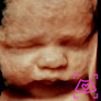 Baby Haven Kc